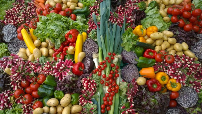 Czym charakteryzują się bio warzywa?