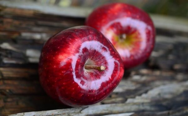 Jabłko – rajski owoc
