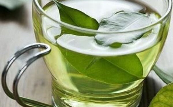 Dlaczego warto pić zieloną herbatę?