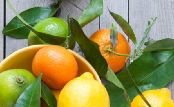 Cytryny, pomarańcze i inne cytrusy w kosmetykach