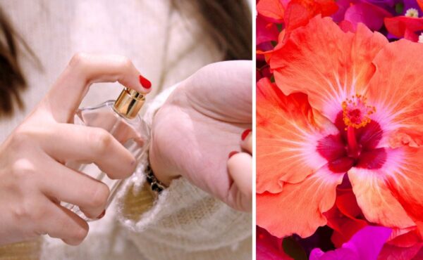 Perfumowy Fenomen, Który Hipnotyzuje Internet – Czy Ten Zapach To Nowy Obiekt Pożądania?