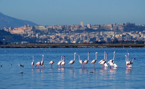 Sardynia – wyspa duchów!
