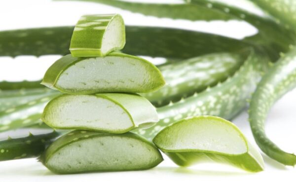 Wspaniałe właściwości aloesu