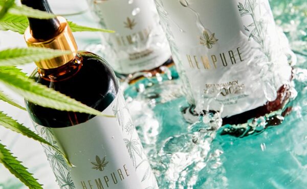 Hempure – nowa marka bazująca na konopi siewnej