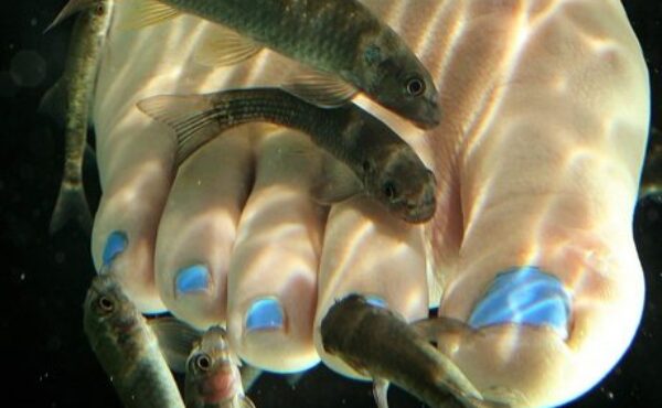 4 nietypowe zabiegi kosmetyczne –  są skuteczne ale czy można je polubić?