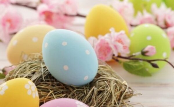 Ile jajek tygodniowo może zjeść zdrowa osoba?