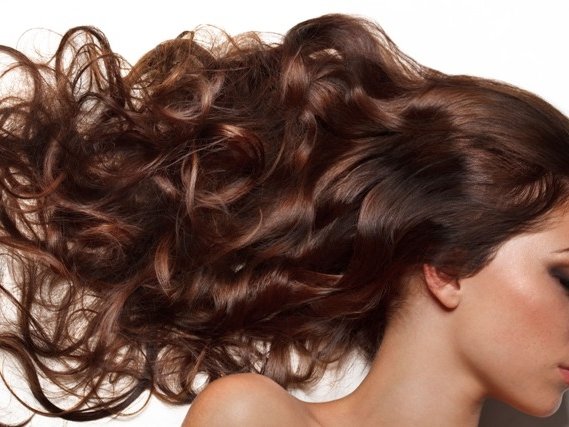 LOKI – właściwa pielęgnacja i strzyżenie kluczem do sukcesu!