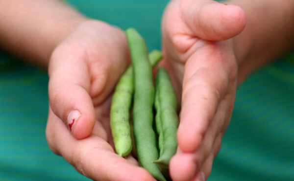 Jedz garściami, czyli wszystko o diecie garstkowej